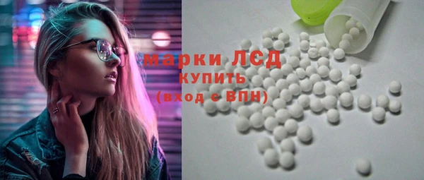 PSILOCYBIN Алзамай
