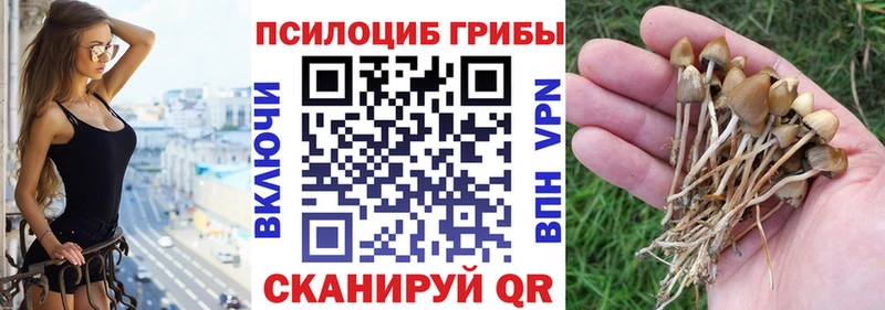 Псилоцибиновые грибы прущие грибы  Ряжск 